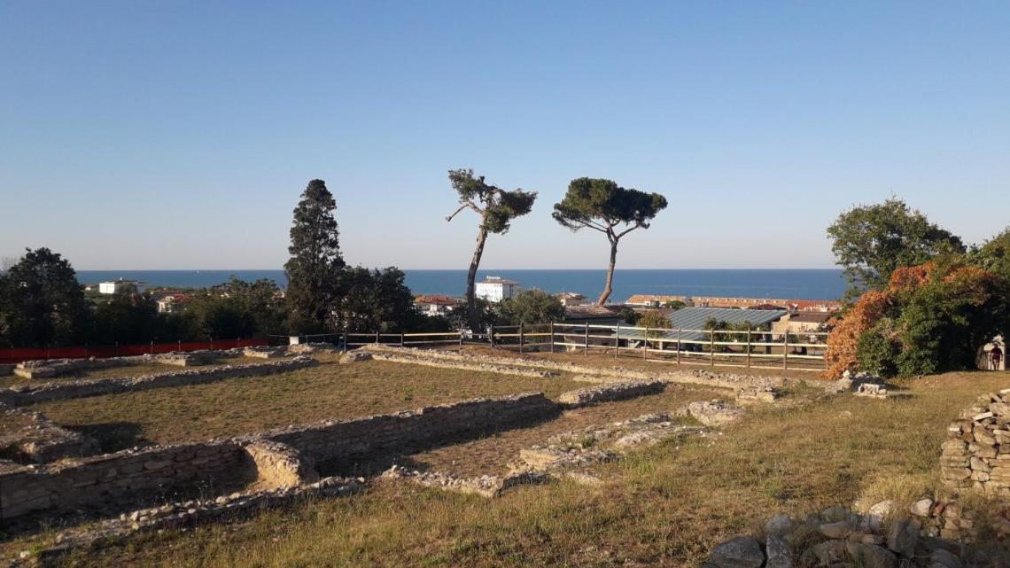 Maison Colline Du Mer كوبرا ماريتيما المظهر الخارجي الصورة